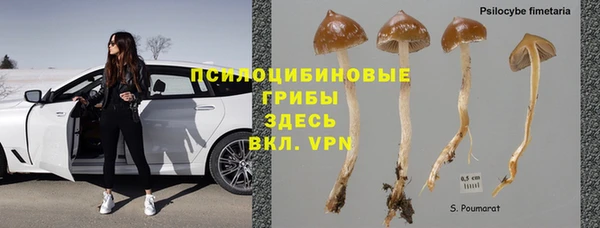 эйфоретик Горняк