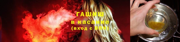 индика Сосновка