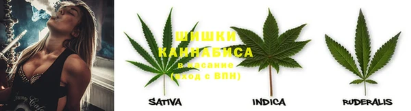 эйфоретик Горняк